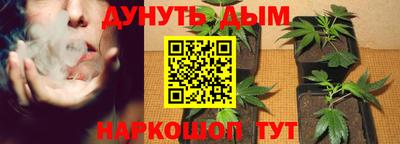 мяу мяу мука Будённовск